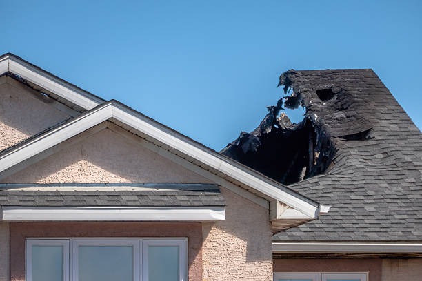 Top rated local Fire Damage Removal specialists in Chester Heights, PA